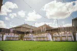 banner image for services